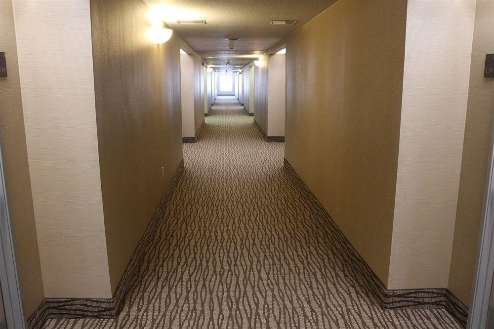 Comfort Suites New Braunfels Buitenkant foto