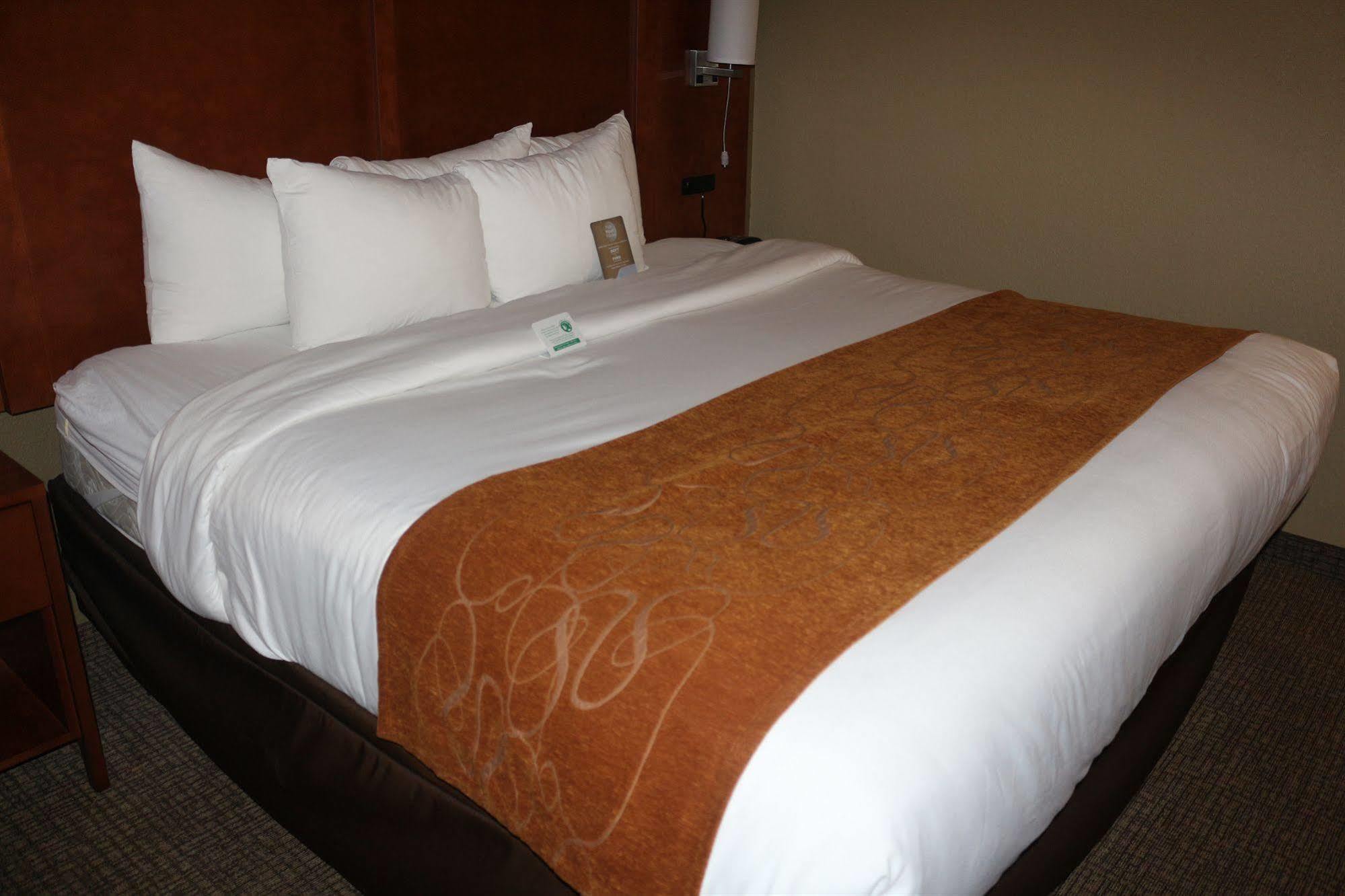 Comfort Suites New Braunfels Buitenkant foto